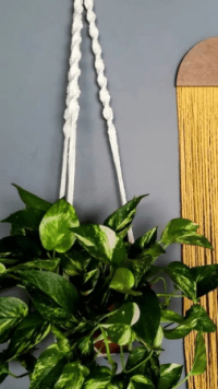 Imagem de Suporte de Plantas em Macramê